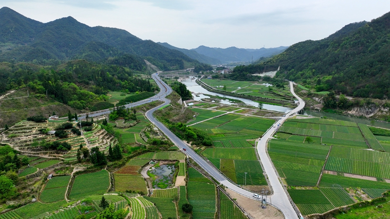 浙農(nóng)浙貝母、杭白菊基地通過中藥材GAP延伸檢查