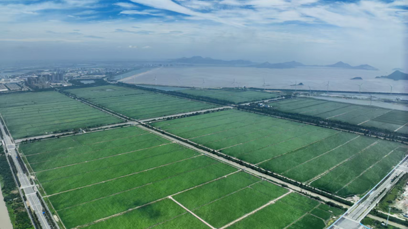 浙農助力臺州農業(yè)新飛躍 打造現代農業(yè)服務新標桿